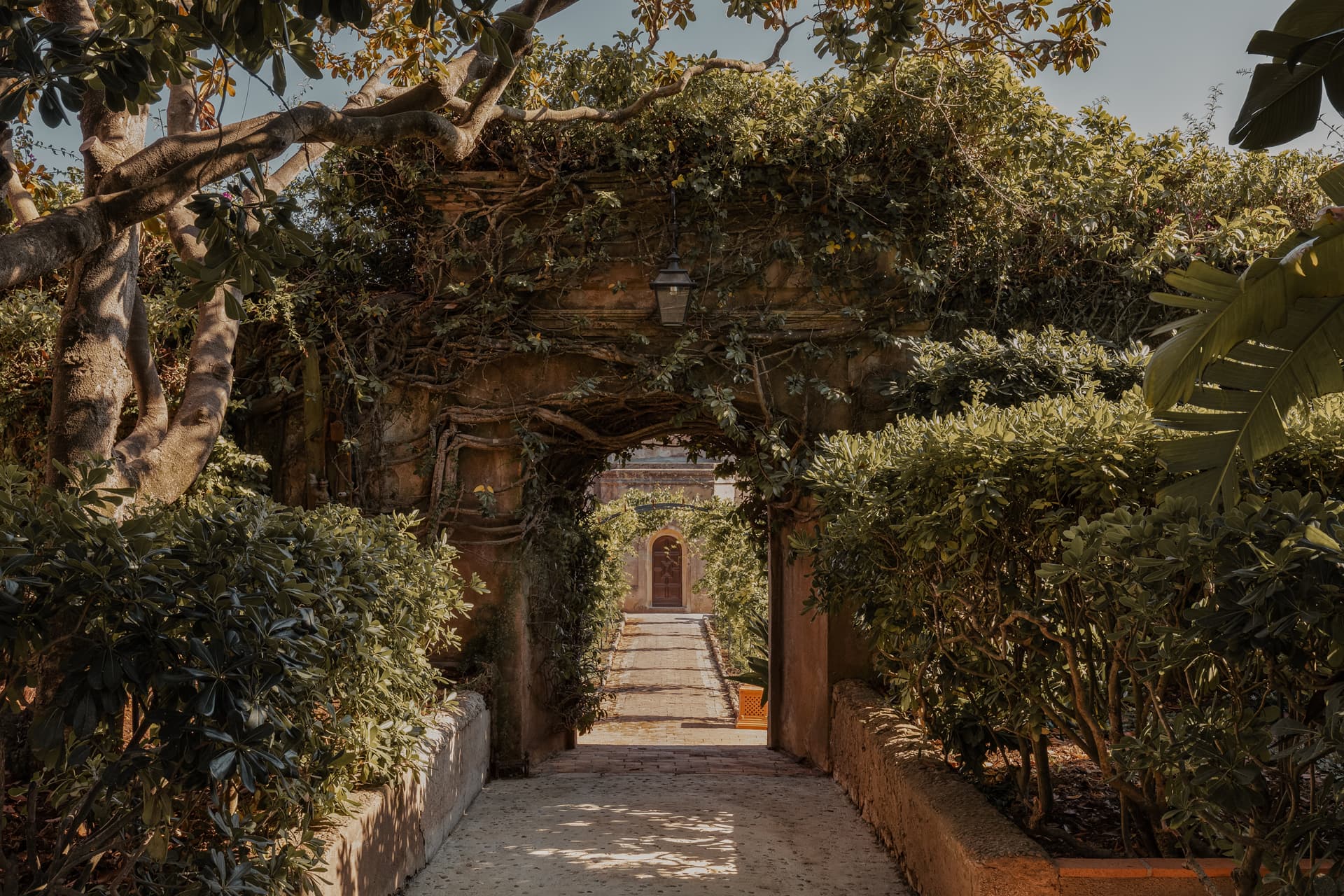 Le Grand Jardin — image 19