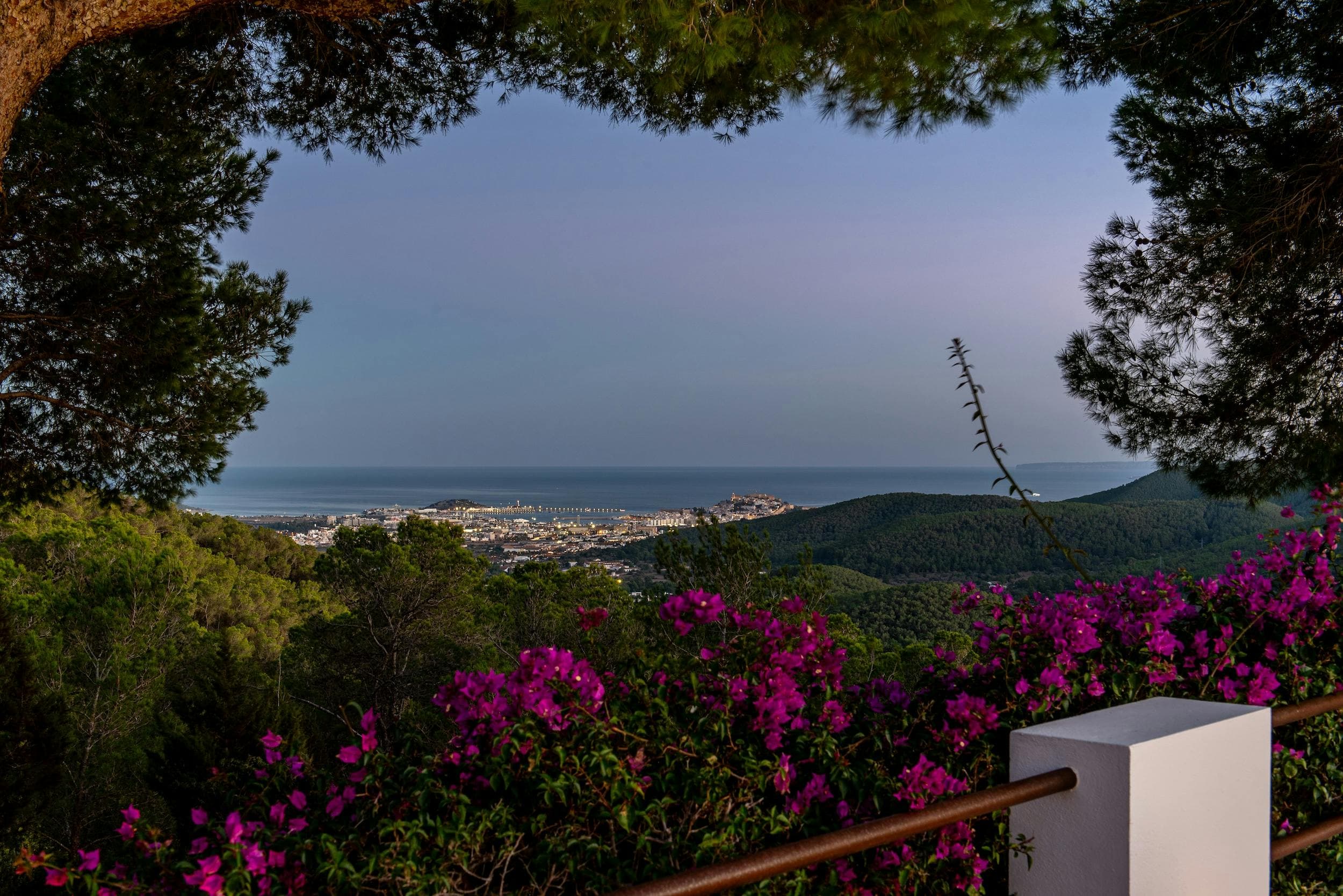 Bella Vista — image 36