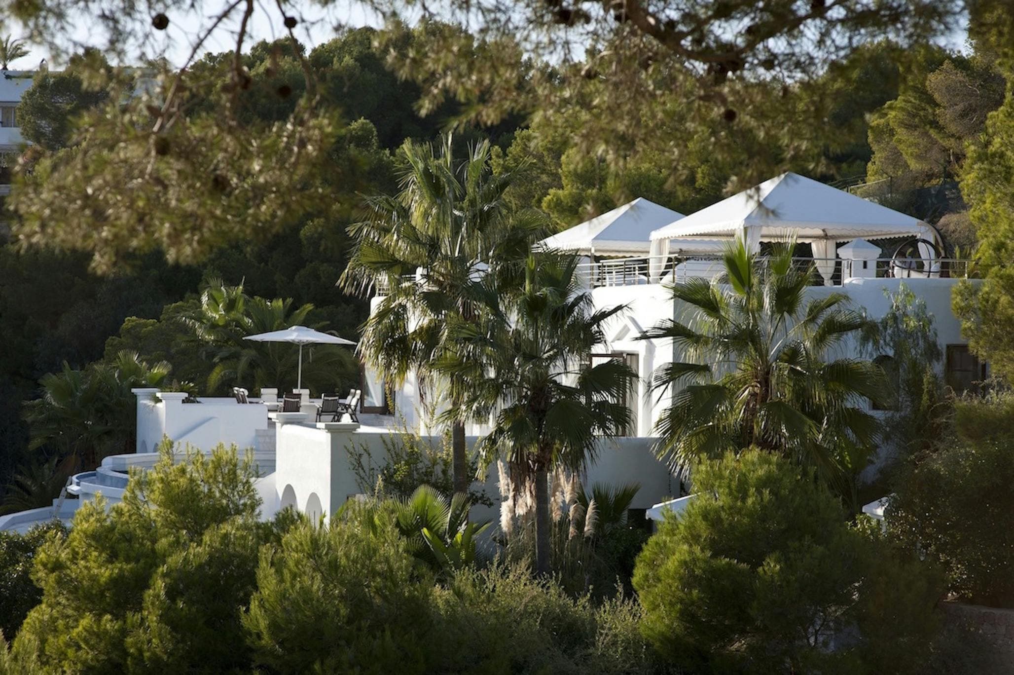 Cala Jondal — image 35