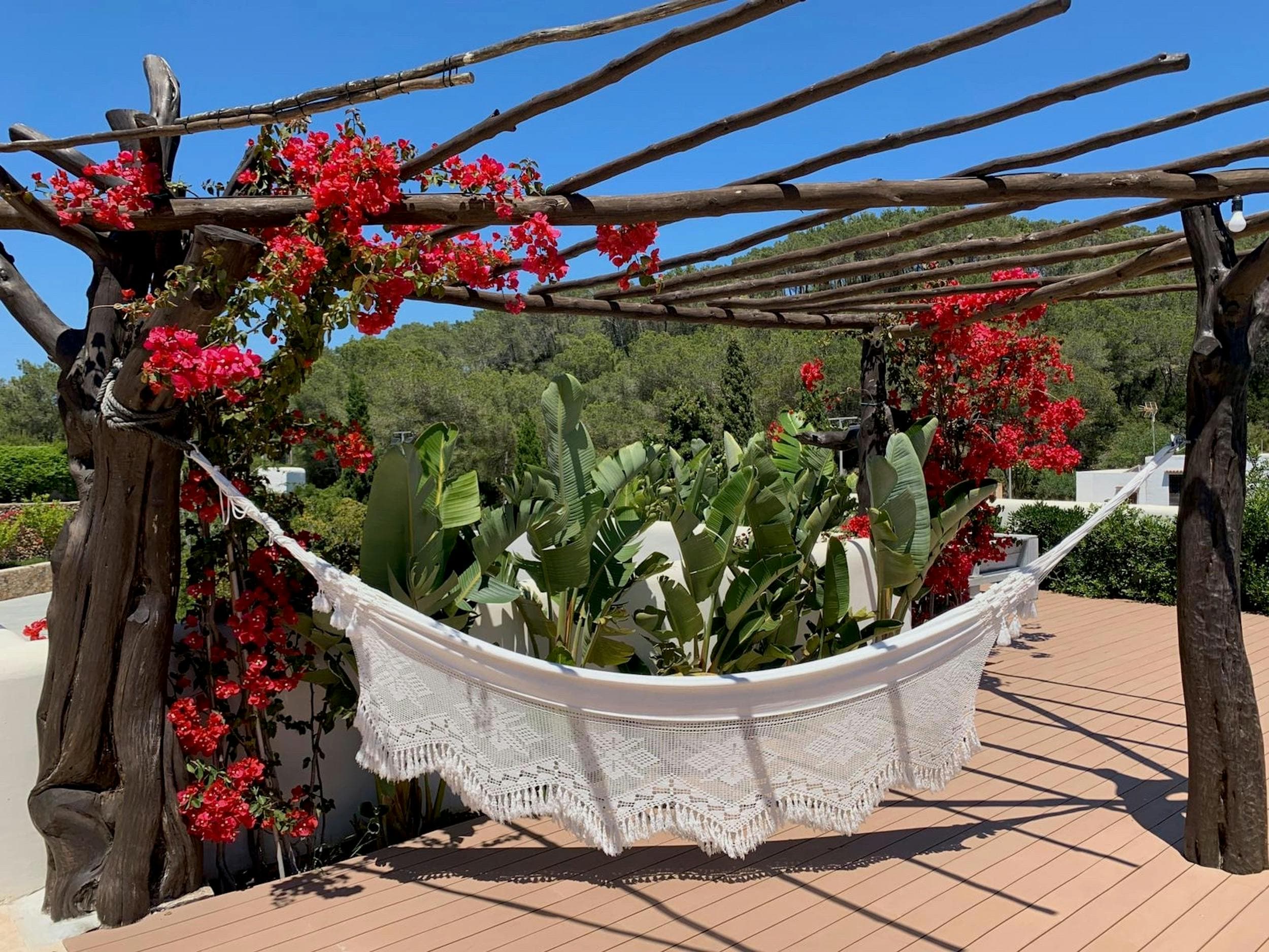 Can Gerbera — image 63