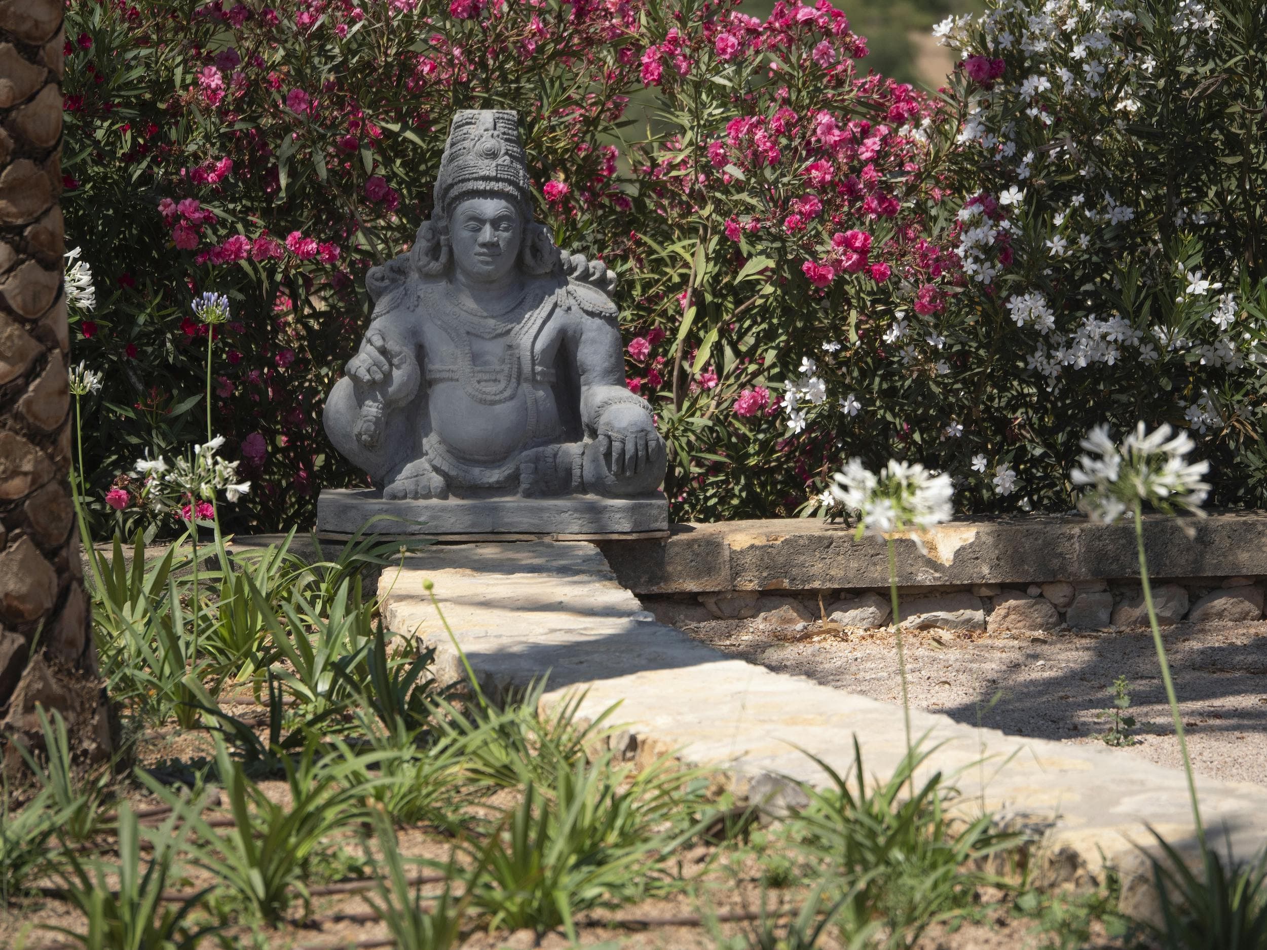 Fedele Estate — image 41