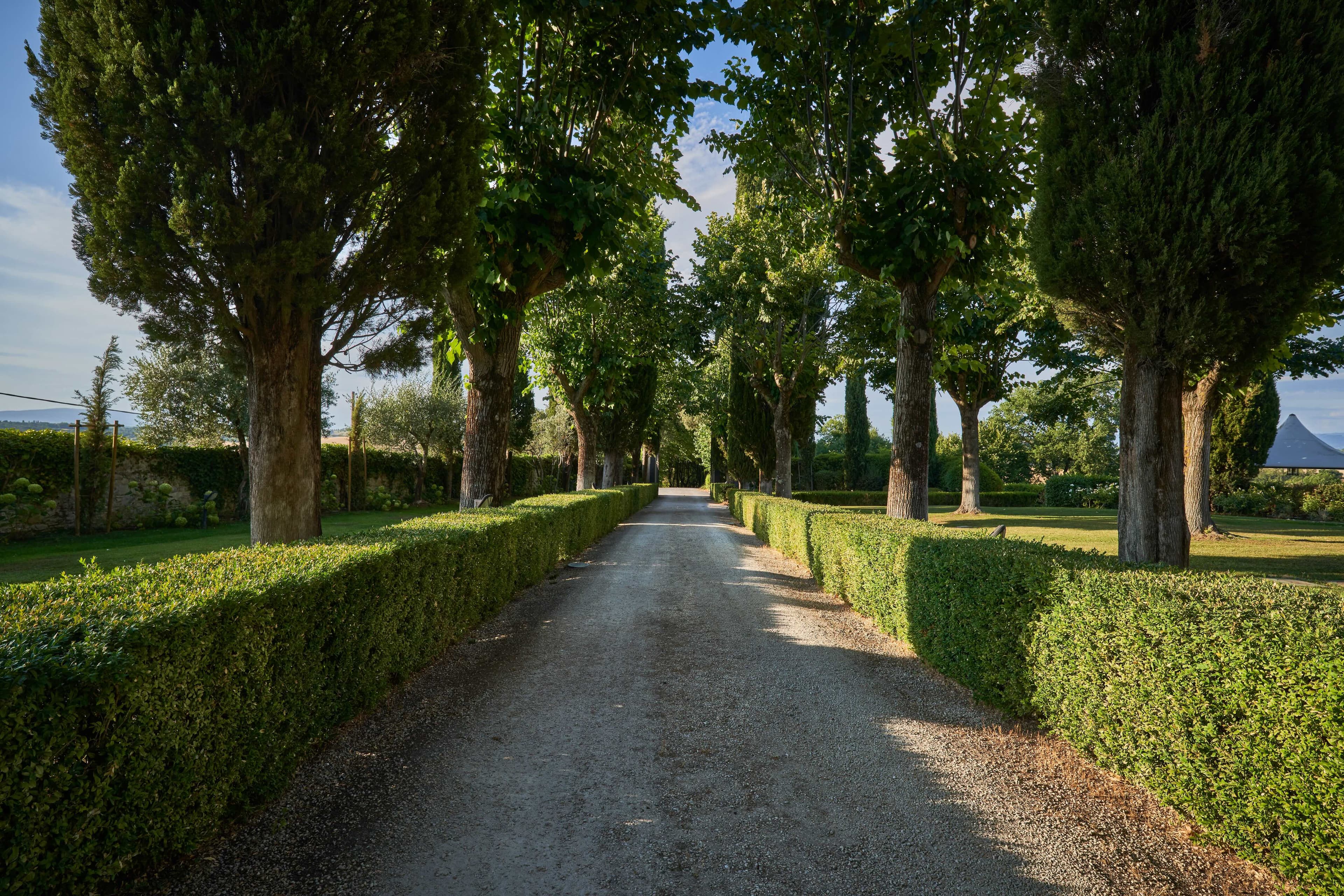 Villa Conte — image 3
