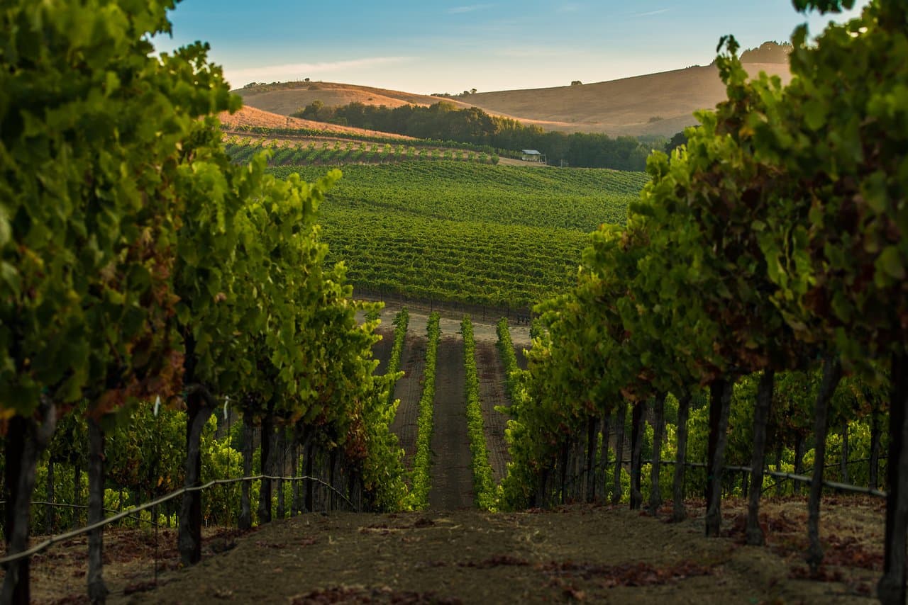 Villas in Napa Valley, CA