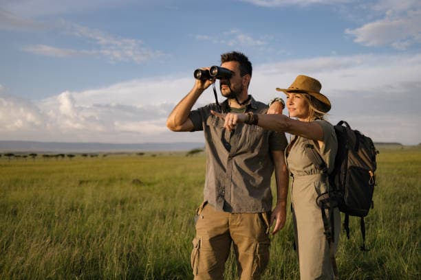 Curated Tours