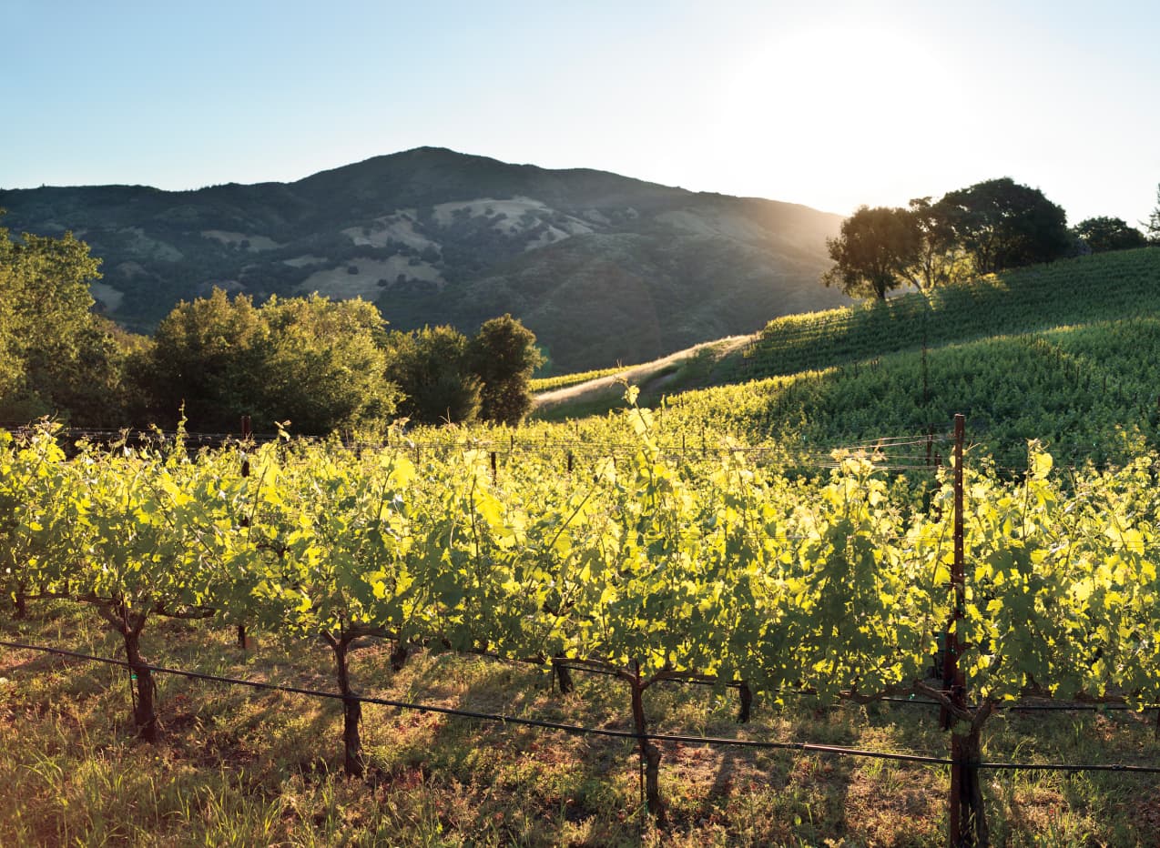 Private Wine Experiences and Concierge Services