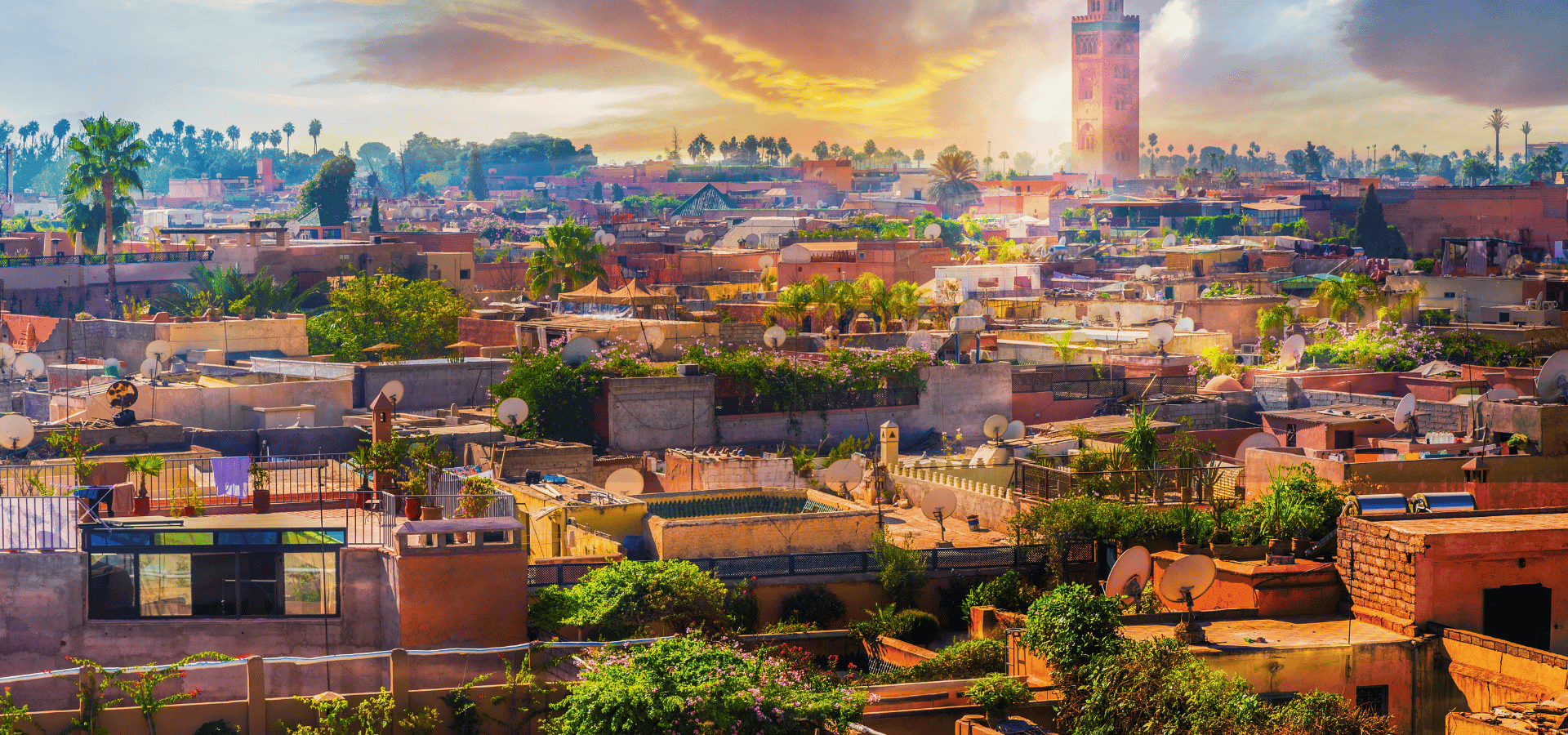 The Medina and Riad Living